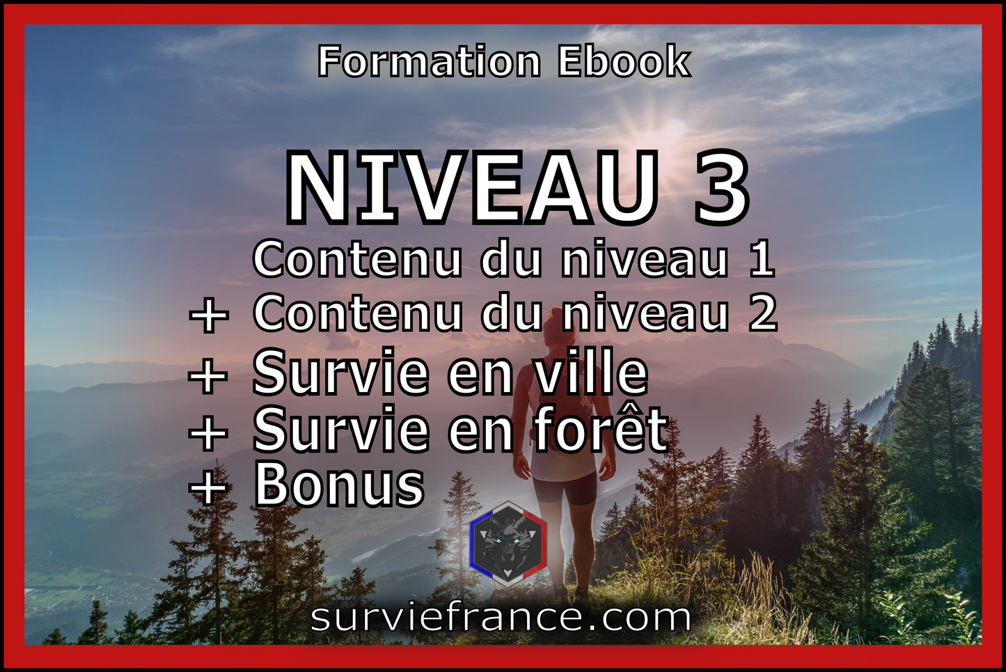 Niveau 3 - (contenu des niveaux 1 et 2) + Survie en ville + Survie en forêt + Bonus