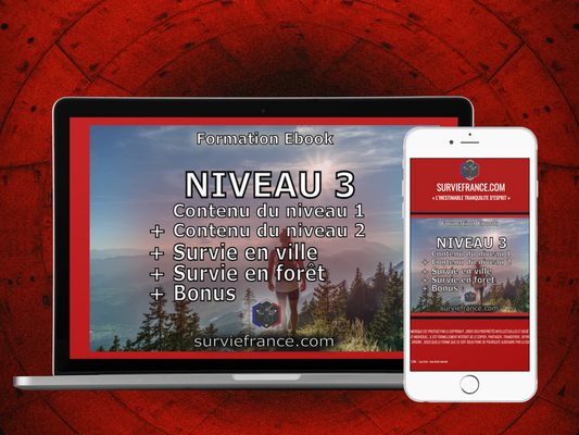 Niveau 3 - (contenu des niveaux 1 et 2) + Survie en ville + Survie en forêt + Bonus